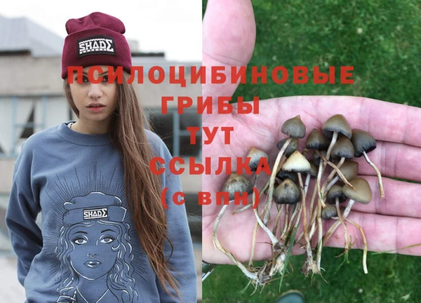 соль курить ск Алексин