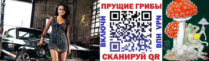MEGA ССЫЛКА  Комсомольск  Галлюциногенные грибы Psilocybe 